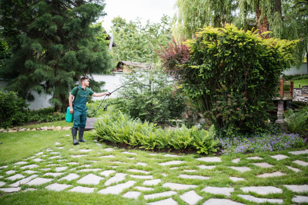 Trusted Unadilla, GA Tree Services Experts